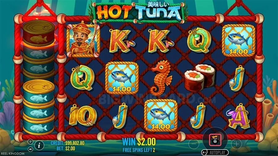 Beginner's Guide to Live Casino Games